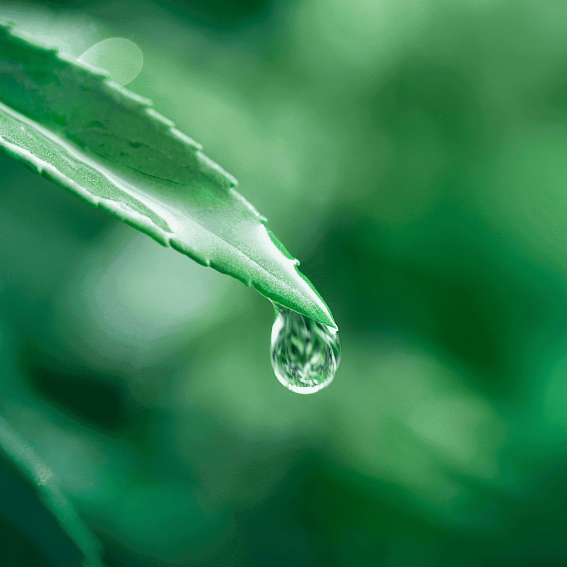 Reliability and durability