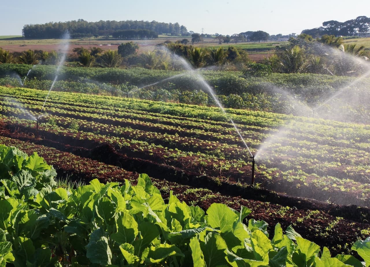 Water treatment for the agricultural sector