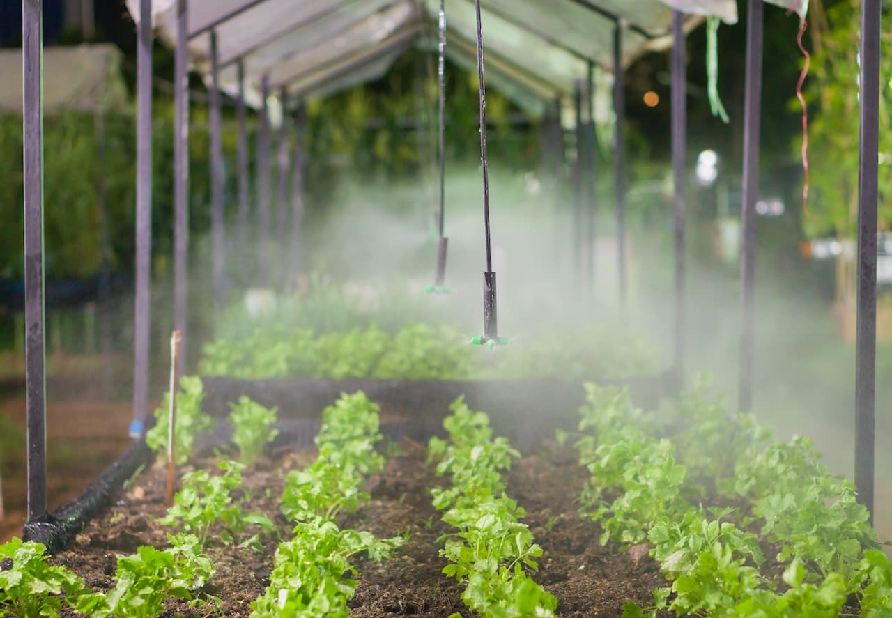Greenhouse watering and irrigation