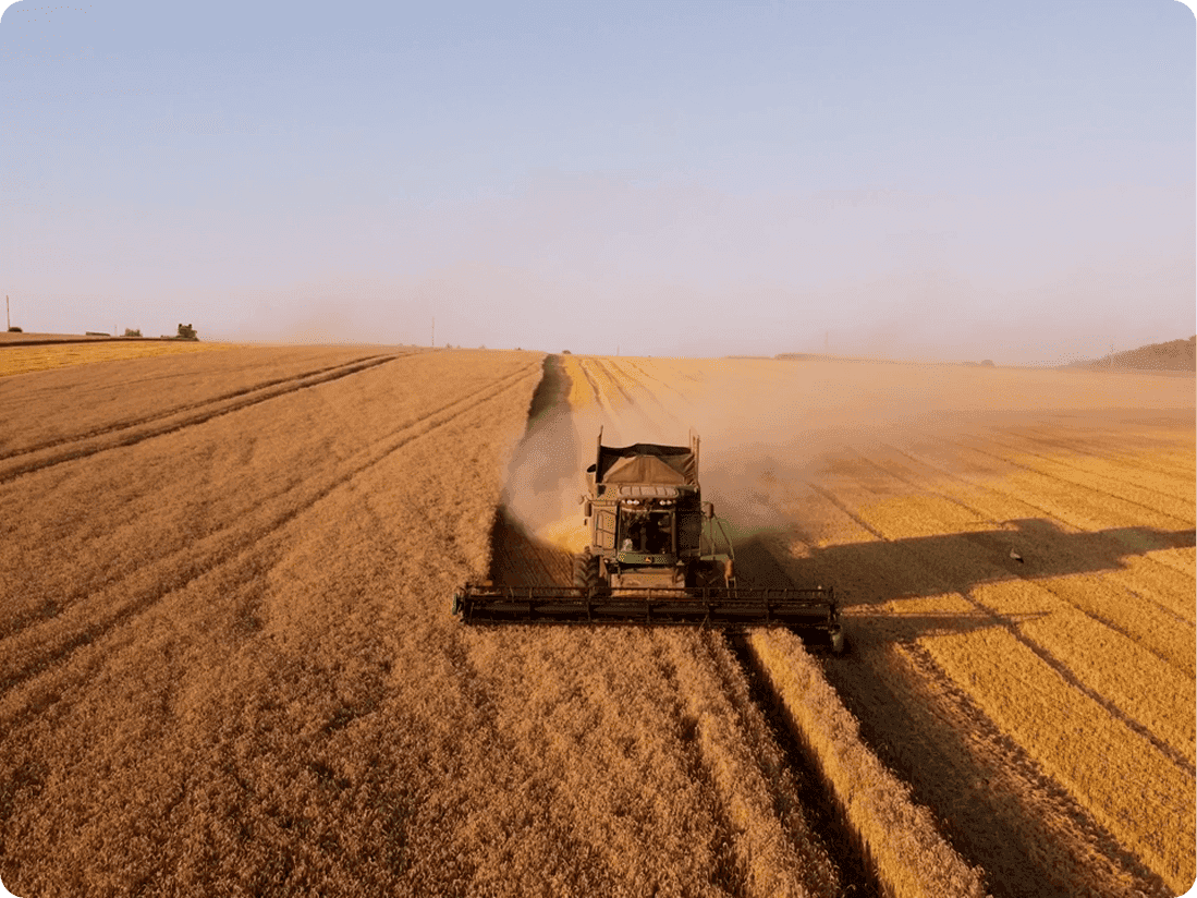 Сільське господарство