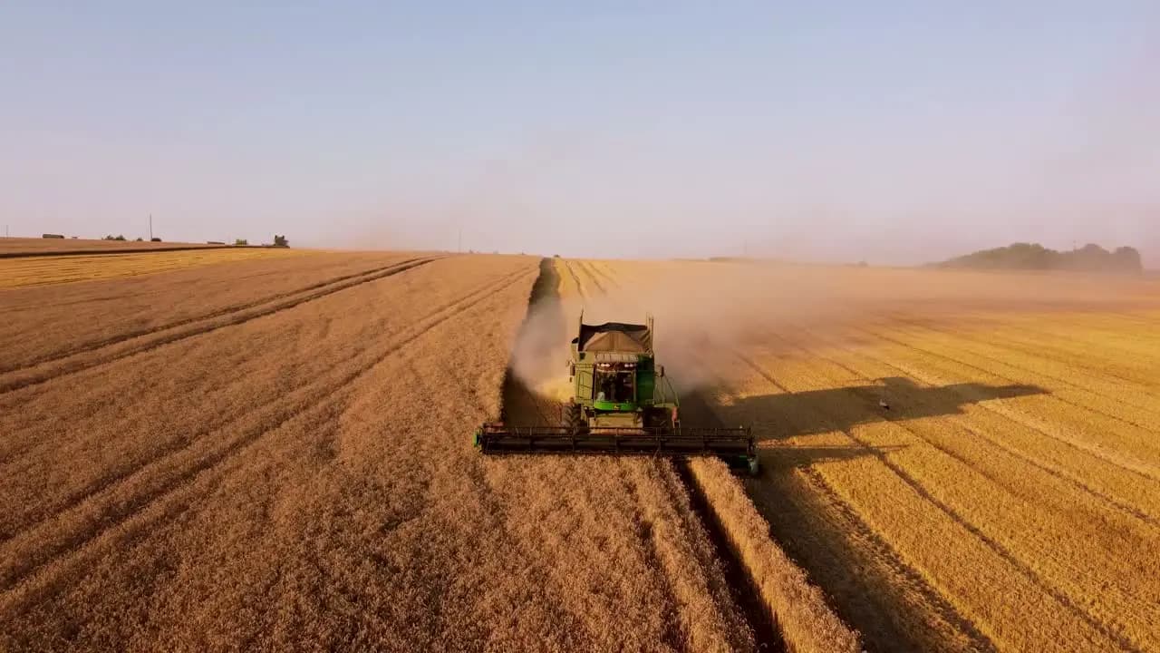 Сільське господарство