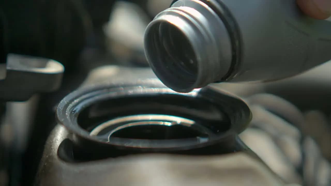 Підбір олив