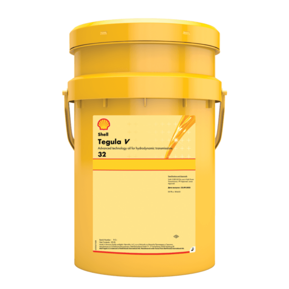 Shell Tegula V 32